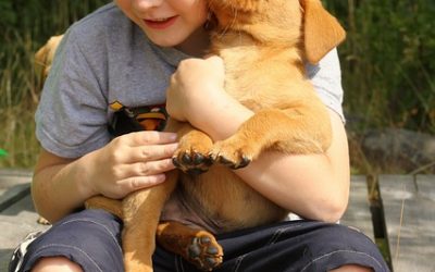 Puppies & Children